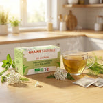 Boîte tisane digestion bio vegan Graine Sauvage avec tasse d'infusion fumante et herbes fraîches sur plan de travail