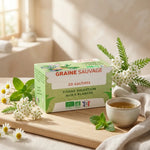 Boîte de Tisane Digestion Bio Vegan en infusettes Graine Sauvage avec herbes naturelles