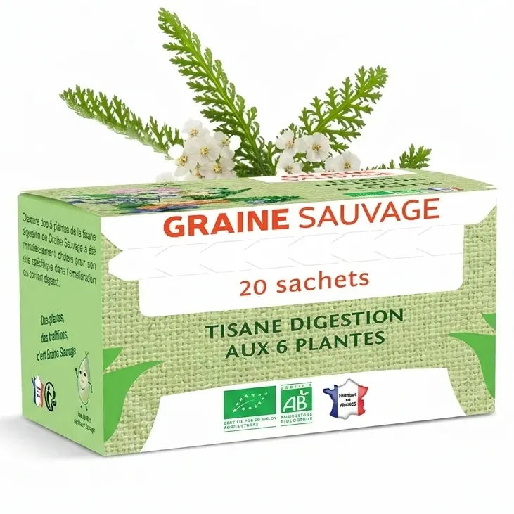 Boîte Tisane Digestion Bio Graine Sauvage 20 sachets, infusettes vegan et écologiques