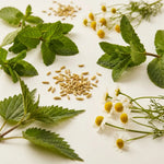 Tisane digestion Ernst Richter's avec menthe, ortie, fenouil et camomille frais
