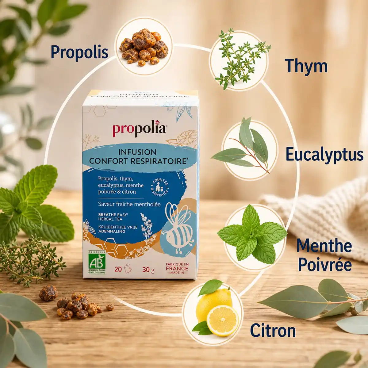 Tisane bio respiration Propolia thym eucalyptus propolis menthe citron packaging