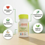 Tribulus vegan en gélules Graine Sauvage avec infographie des 5 bénéfices pour la libido et l'énergie