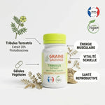 Tribulus extrait vegan en gélules Graine Sauvage avec cap vert citron sur fond blanc