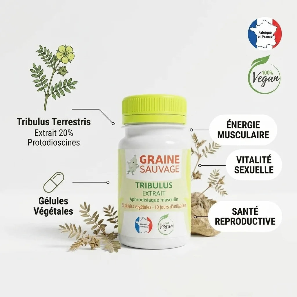 Tribulus extrait vegan en gélules Graine Sauvage avec cap vert citron sur fond blanc