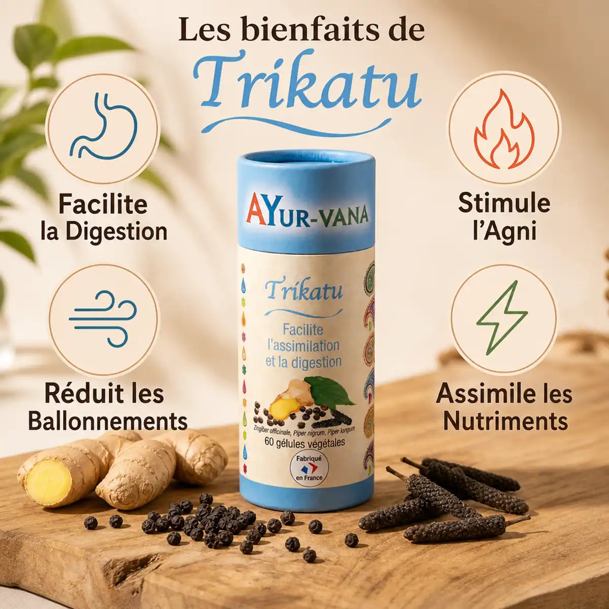 Trikatu Ayurvana gélules avec gingembre, poivre et bénéfices digestifs