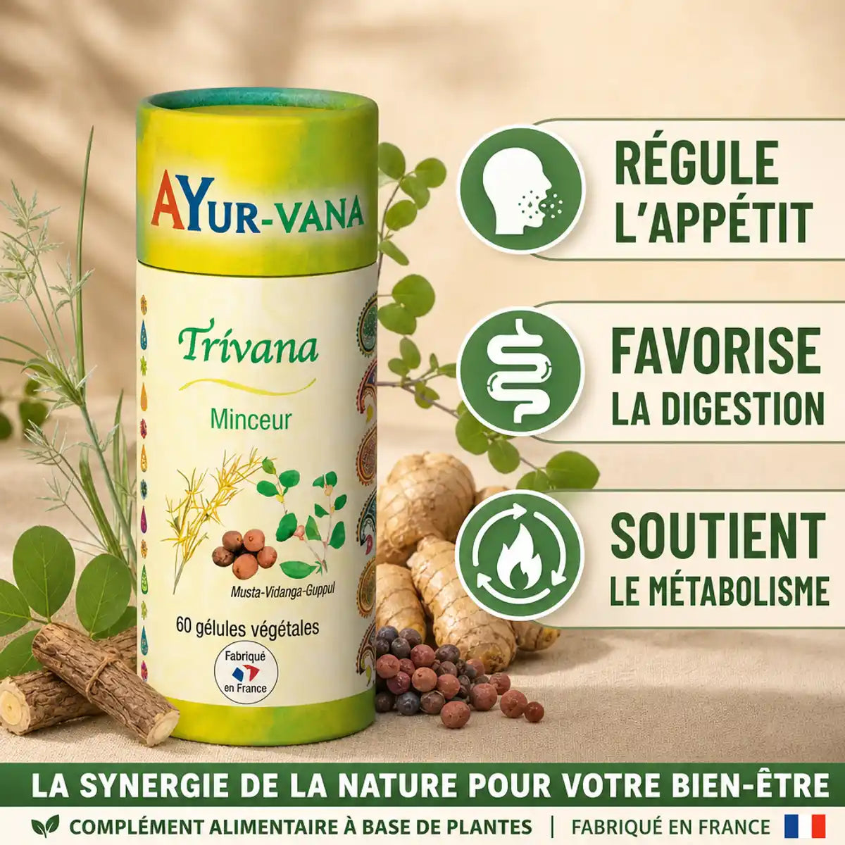 Trivana Ayurvana gélules minceur avec bénéfices: régule appétit, digestion, métabolisme