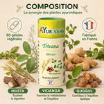 Trivana Vegan gélules Ayurvana avec ingrédients Musta, Vidanga et Guggul