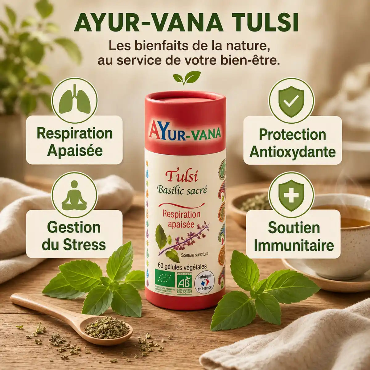 Gélules Tulsi bio Ayurvana pour respiration, stress, antioxydants et immunité