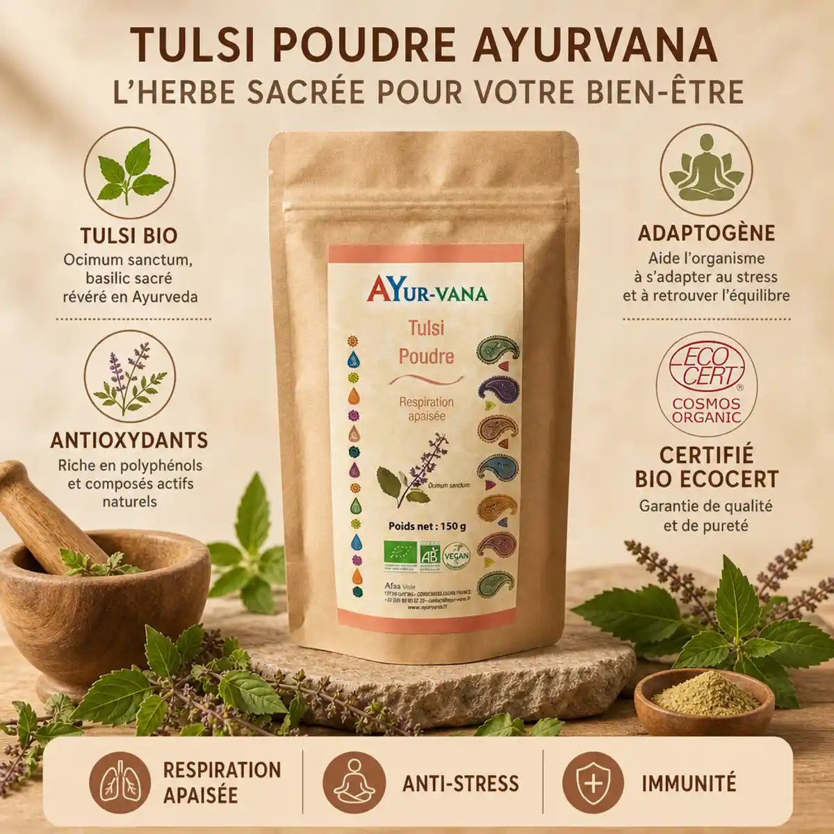 Tulsi bio en poudre Ayurvana 150g avec ingrédients, feuilles fraîches et bénéfices santé