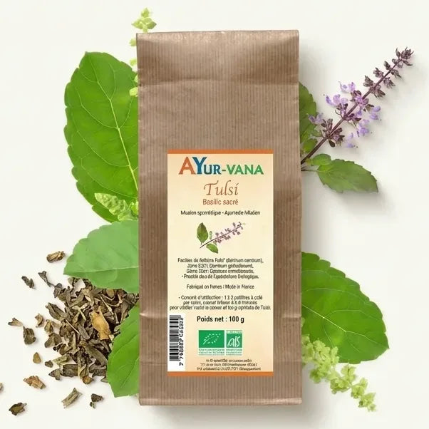 Tulsi bio Ayurvana en vrac avec feuilles fraîches et herbes séchées authentiques