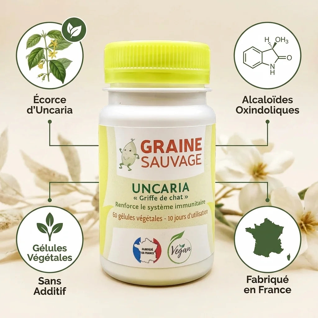 Uncaria vegan en gélules Graine Sauvage avec ingrédients naturels et certification française