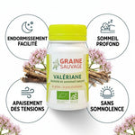Graine Sauvage Valériane Bio gélules avec bénéfices : endormissement, sommeil profond, apaisement tensions