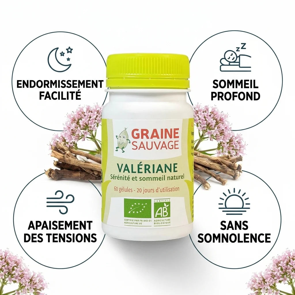 Graine Sauvage Valériane Bio gélules avec bénéfices : endormissement, sommeil profond, apaisement tensions