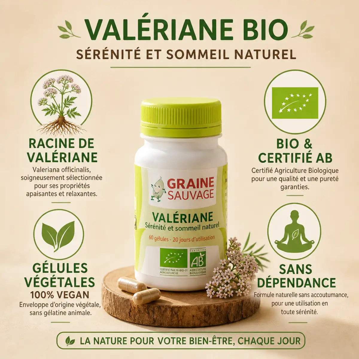 Gélules Valériane Bio Vegan Graine Sauvage avec packaging et certifications AB affichées