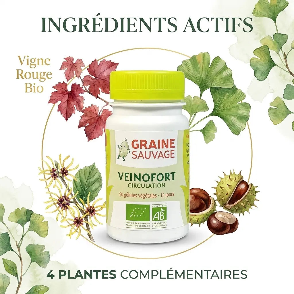Veinofort Bio 90 gélules avec ingrédients actifs: vigne rouge, ginkgo biloba, marron d'Inde et hamamélis