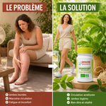 Veinofort Bio 90 gélules avant-après jambes légères - supplément circulation Graine Sauvage