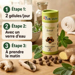 Vidanga Extrait gélules Ayur-vana avec instructions posologie et plantes médicinales