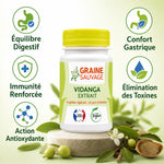 Vidanga extrait 60 gélules Graine Sauvage avec infographie des 5 bénéfices digestifs et immunité