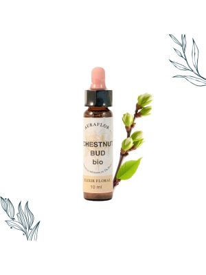 Compte gouttes de 10 ml de fleurs de bach bio de bourgeon de marronnier de la marque Dioter