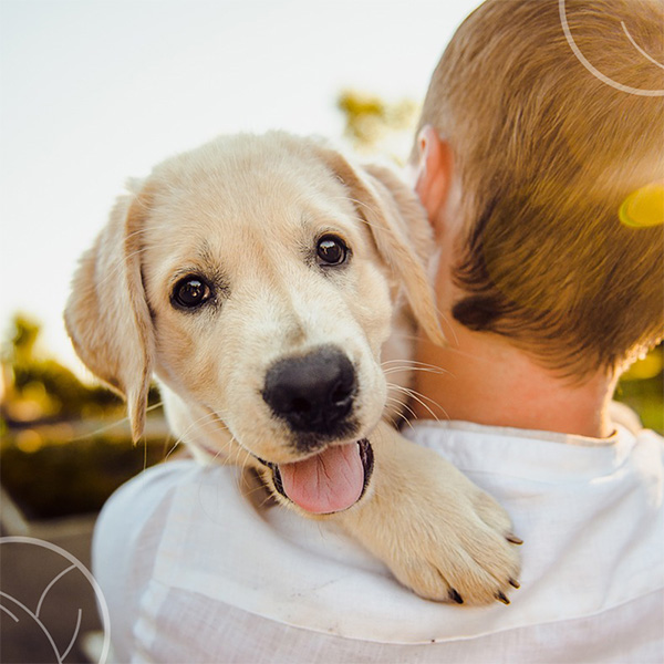 Photo d'un chien dans les bras d'un homme de dos