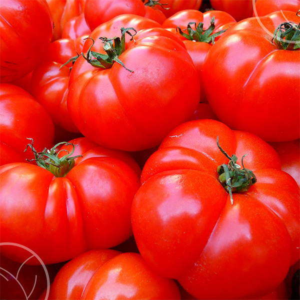 Photos de tomates