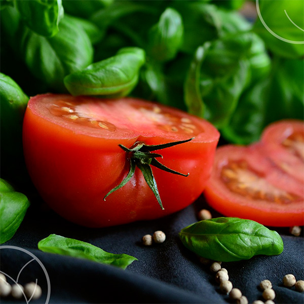 Photo d'une tomate tranchée et de basilic