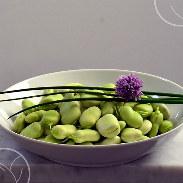 Photo de flageolets verts