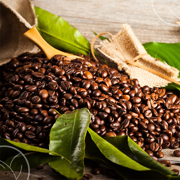 Photo de grains de café
