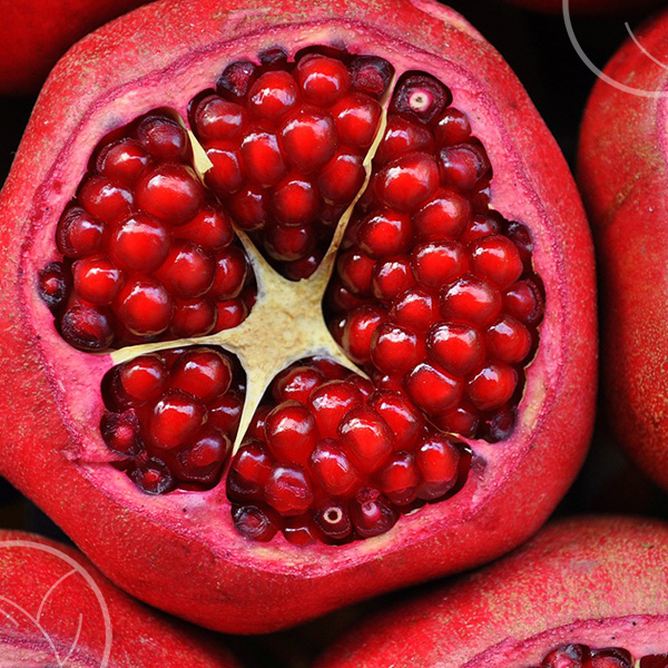 Photo du fruit de grenade ouverte