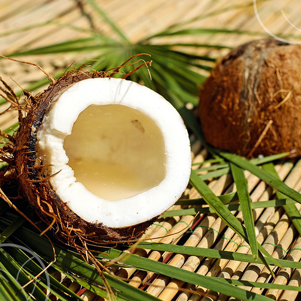 Photo de noix de coco