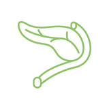 Pictogramme d'un intestin