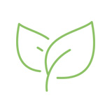 Pictogramme de plante