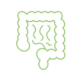 pictogramme intestin