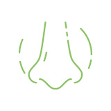 Pictogramme de nez
